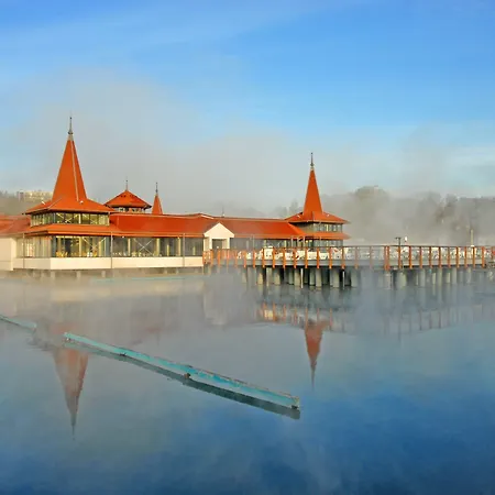 Ensana Thermal ホテル 4*