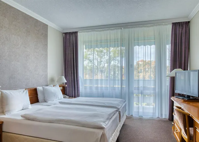 ホテル Ensana Thermal ヘーヴィーズ