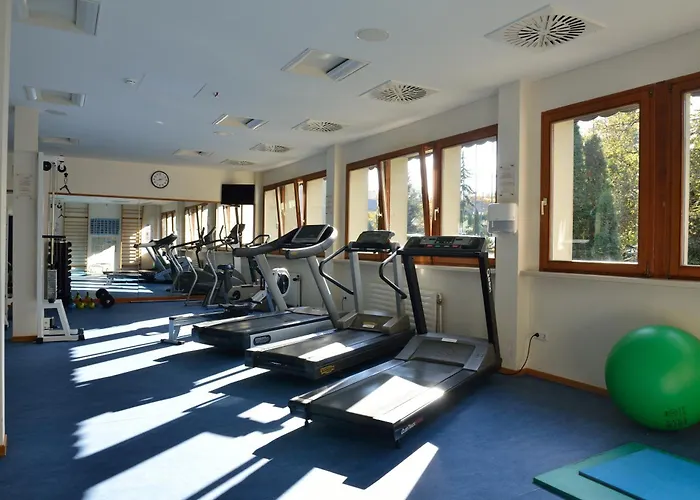 Ensana Thermal Hotel 4*